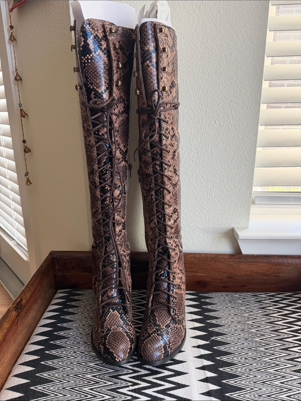 Free People + Jeffrey Campbell Brown Snakeskin Over-the-Knee Lace-Up Boots